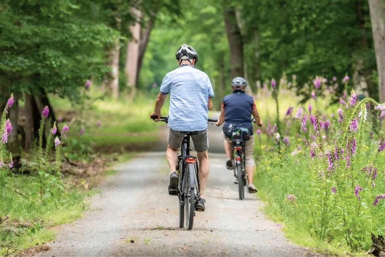 Vélo piste cyclable landes seignosse Vélo piste cyclable landes seignosse
